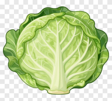 Green Cabbage PNG