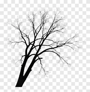 Silhouette Tree With Bare Branches PNG
