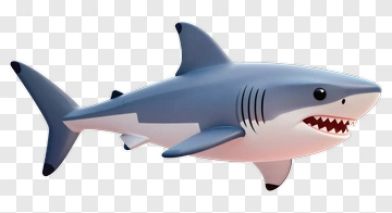 Cartoon Shark PNG