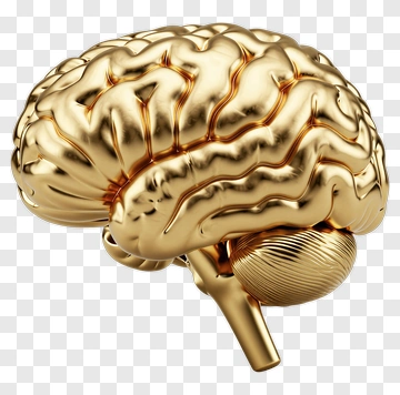 Golden Brain Sculpture PNG