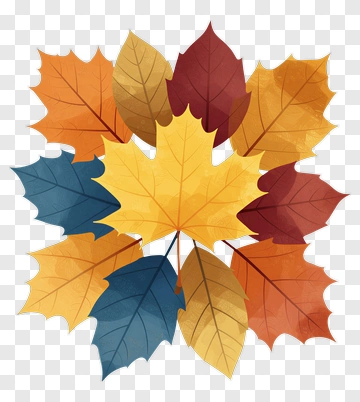 Colorful Autumn Leaves Arrangement PNG
