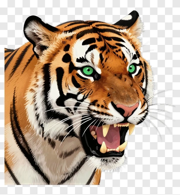 Realistic Tiger With Green Eyes PNG