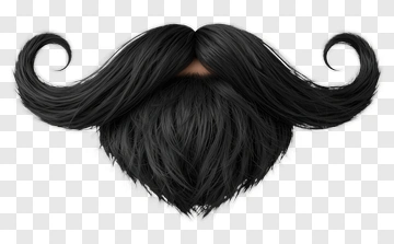 Black Mustache And Beard PNG