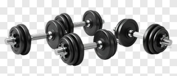 Dumbbells For Weight Training PNG