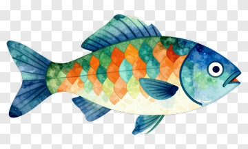 Colorful Fish Illustration PNG