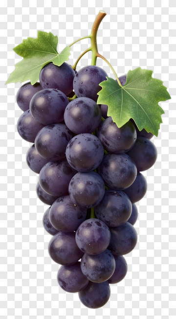 Bunch Of Grapes PNG