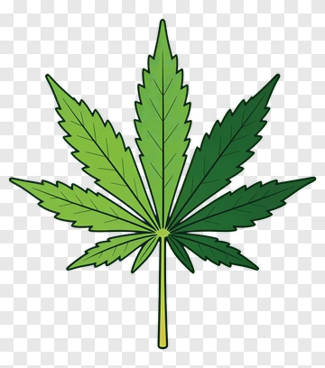 Green Marijuana Leaf PNG