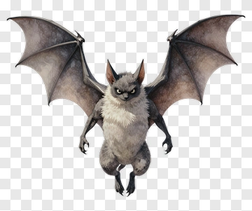 Cartoon Bat With Outstretched Wings PNG