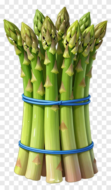 Bunch Of Fresh Asparagus PNG