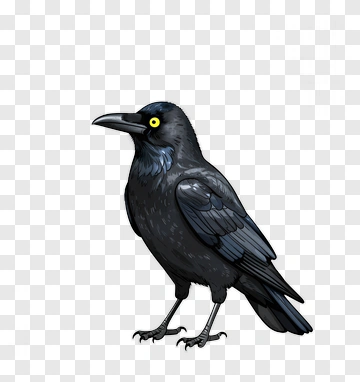Cartoon Black Crow PNG
