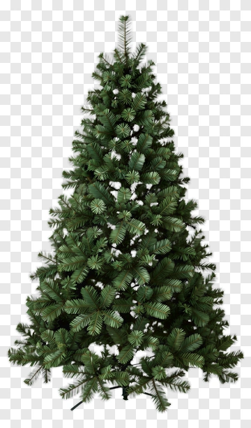 Green Christmas Tree PNG