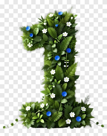 Floral Number One PNG