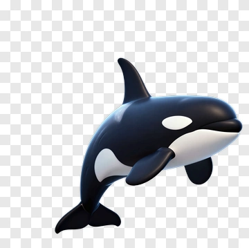 3D Cartoon Orca Swimming PNG