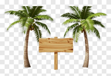 Palm Trees With A Wooden Sign PNG