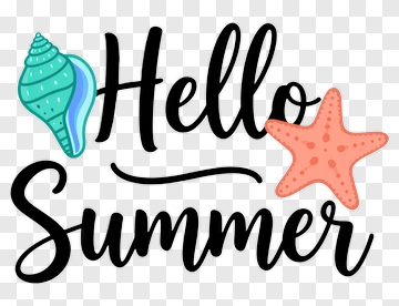 Hello Summer With Shell And Starfish PNG