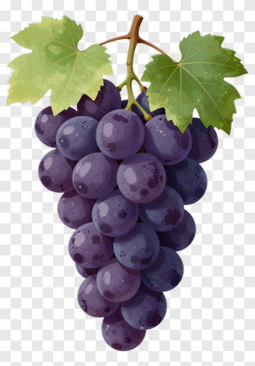 Bunch Of Purple Grapes With Leaves PNG