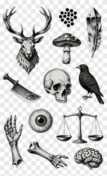 Collection Of Gothic Elements Including Skull And Raven PNG