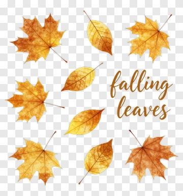 Falling Leaves With Autumn Colors PNG