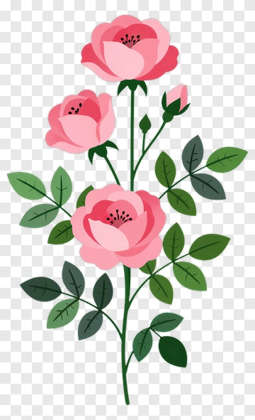 Pink Rose Bouquet PNG