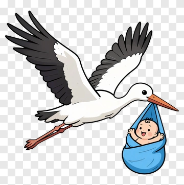 Cartoon Stork Carrying A Baby PNG