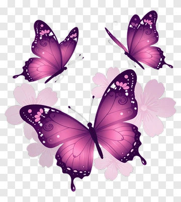 Colorful Butterflies With Flowers PNG