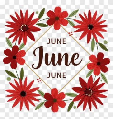 June Flower Wreath PNG