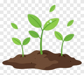 Green Seedlings Growing In Soil PNG