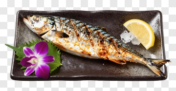 Grilled Fish With Lemon And Orchid Garnish PNG