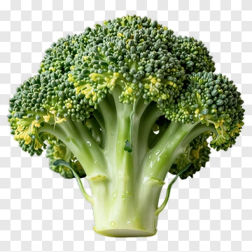 Fresh Broccoli Vegetable PNG