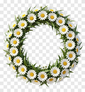 Daisy Floral Wreath PNG