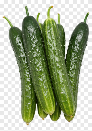 Fresh Cucumbers PNG