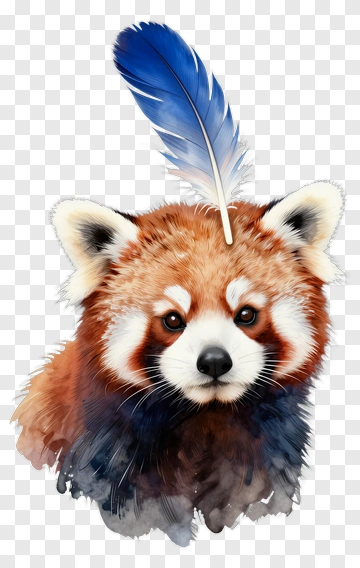 Cartoon Red Panda With A Blue Feather PNG