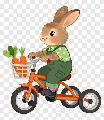 Cartoon Rabbit Riding A Bicycle With Carrots PNG