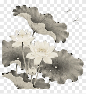 Lotus Flowers With Leaves And Dragonflies PNG