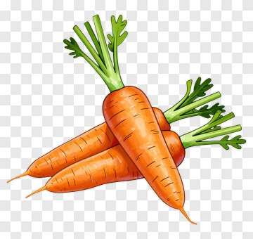 Fresh Carrots PNG
