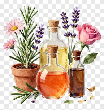 Essential Oils And Flowers Arrangement PNG