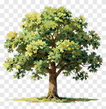 Colorful Tree PNG