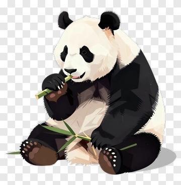 Cartoon Panda Eating Bamboo PNG