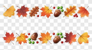 Autumn Leaves And Acorns Decoration PNG