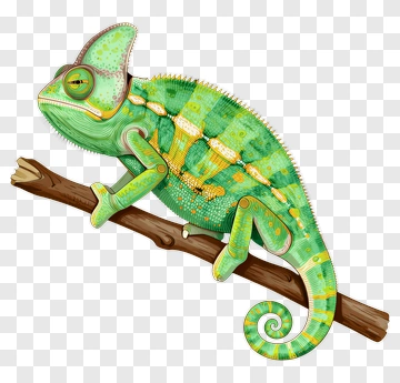 Colorful Chameleon Sitting On A Branch PNG