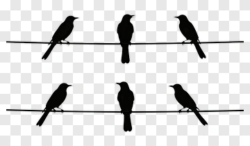 Silhouette Birds On A Wire PNG