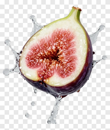 Fresh Fig Sliced In Water Splash PNG