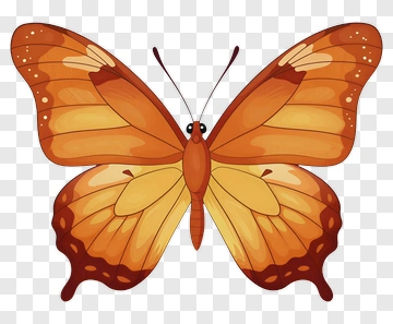 Colorful Butterfly PNG