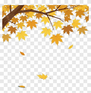 Autumn Maple Leaves Falling From Tree PNG