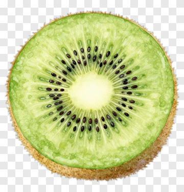 Sliced Kiwi Fruit PNG