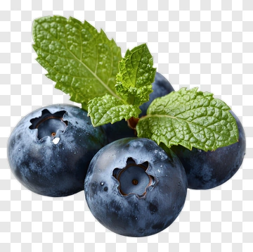 Fresh Blueberries With Mint Leaves PNG