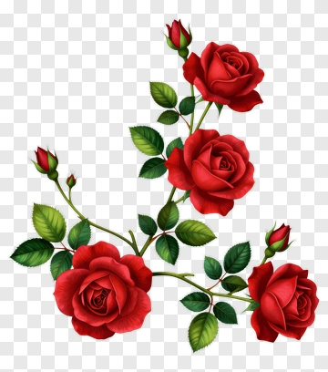 Red Roses With Green Leaves PNG