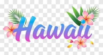 Hawaii Floral Design PNG