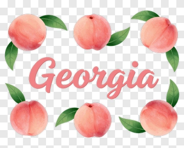 Peach Illustration With Georgia Text PNG