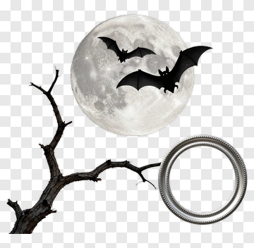 Bats Flying Against A Full Moon PNG
